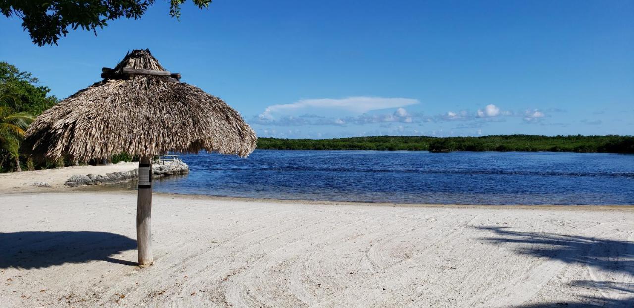 Tiny House Rv, Kayak Hotel Key Largo Exterior photo